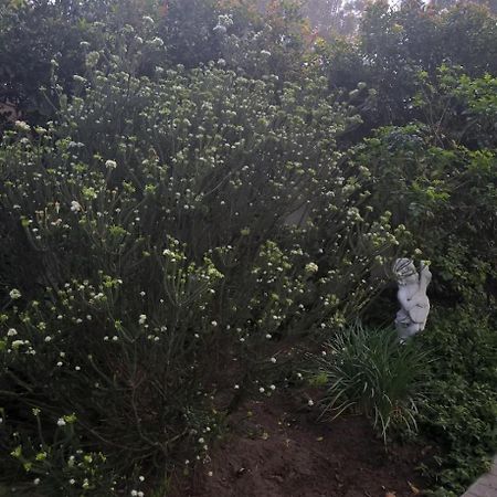 Chaston Manor Hotel Cape Town Bagian luar foto