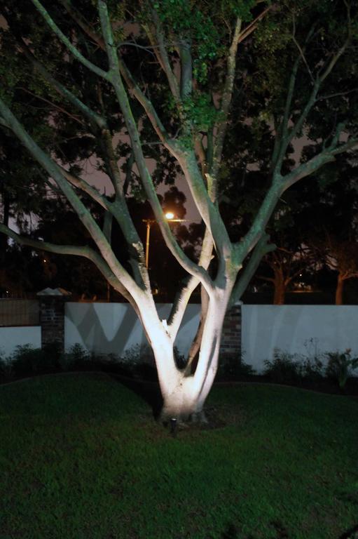 Chaston Manor Hotel Cape Town Bagian luar foto
