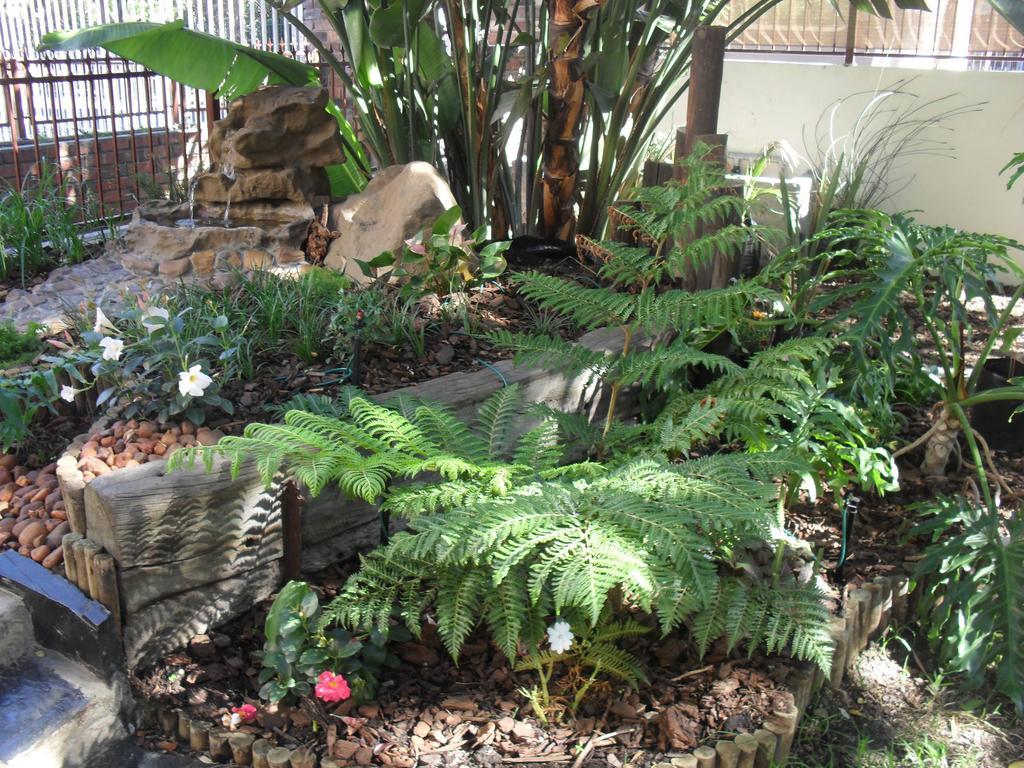 Chaston Manor Hotel Cape Town Bagian luar foto