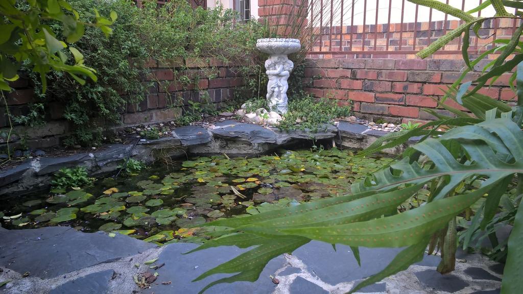 Chaston Manor Hotel Cape Town Bagian luar foto