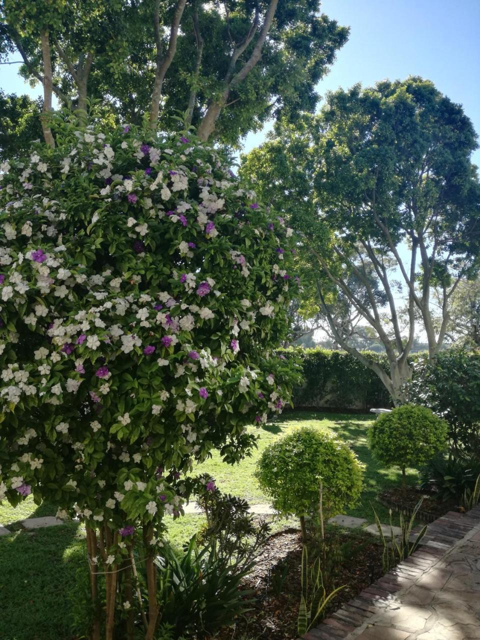 Chaston Manor Hotel Cape Town Bagian luar foto