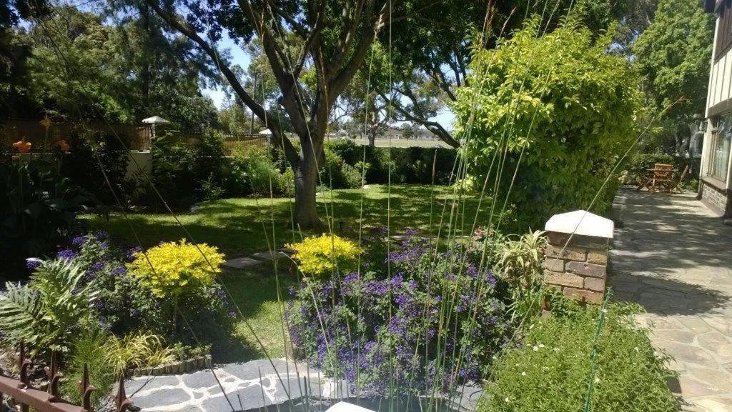 Chaston Manor Hotel Cape Town Bagian luar foto